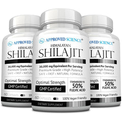 Approved Science Himalayan Shilajit capsules on bottle showing energy support potential