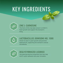 Lactobacillus Johnsonii No. 1088 in Pyloriprin promotes balanced digestion.