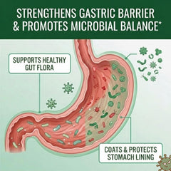 Zinc L-Carnosine in Pyloriprin supports stomach lining health.