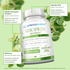 Close-up of Approved Science Siboprin capsules for convenient daily intake