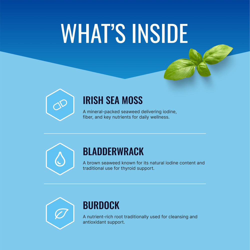 Approved Science Wild-Crafted Irish Sea Moss bottle with bladderwrack highlights thyroid and digestion.