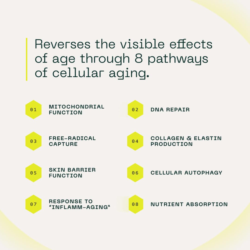 Close-up of Aramore NAD+ capsules highlighting compact daily capsules.
