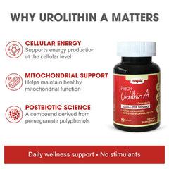 Arigold Urolithin A Pro vegan, clean-label wellness option