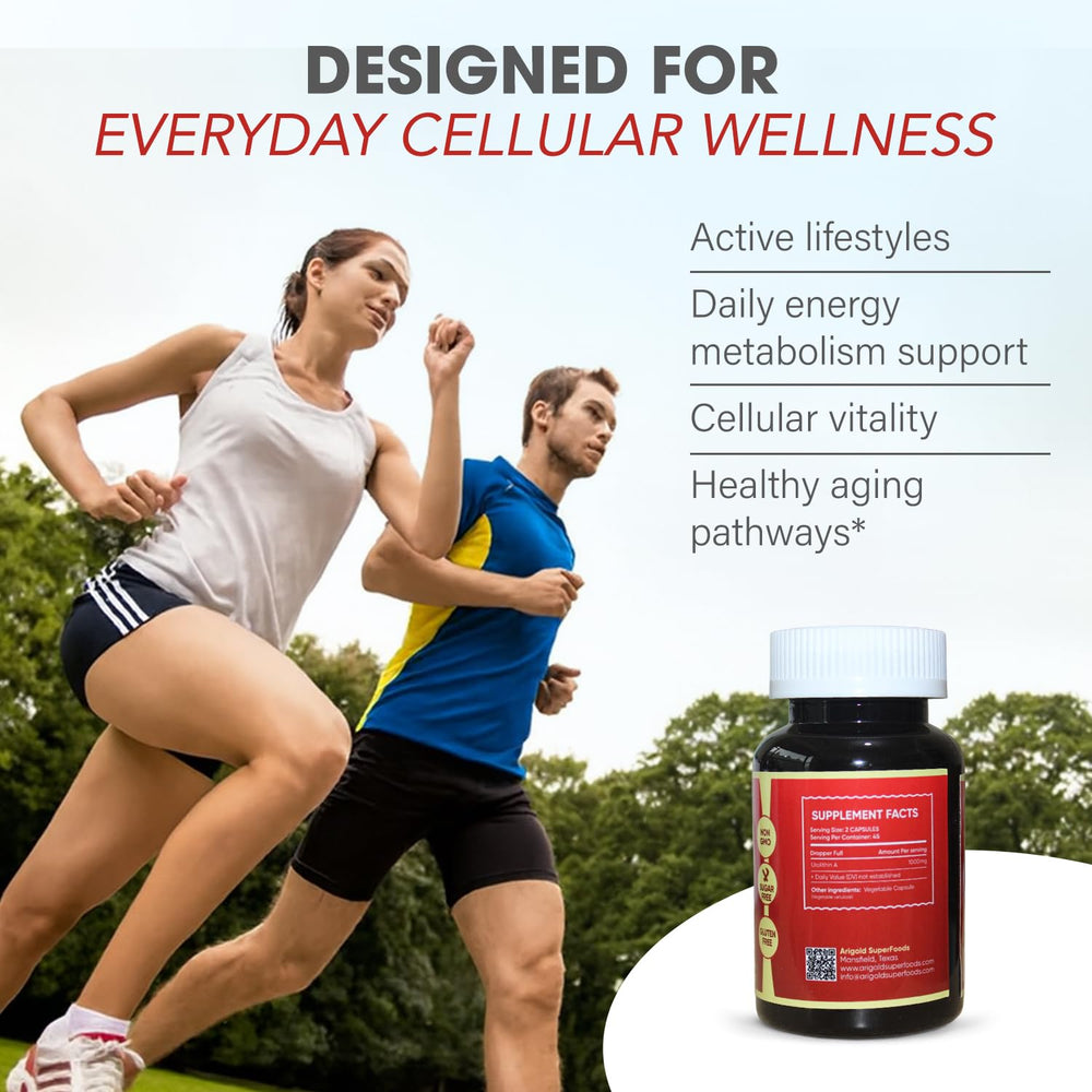 Arigold Urolithin A Pro promoting mitochondrial renewal and energy metabolism