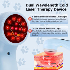 Ariysah cold laser dog device handheld use for targeted treatment.