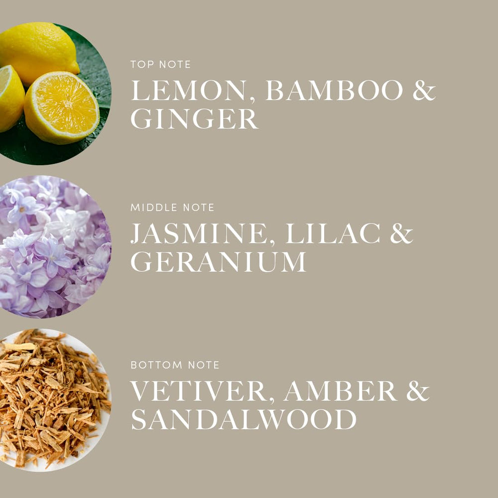 Aroma360 Champagne Supernova top notes Lemon, Bamboo and Ginger brighten spaces.