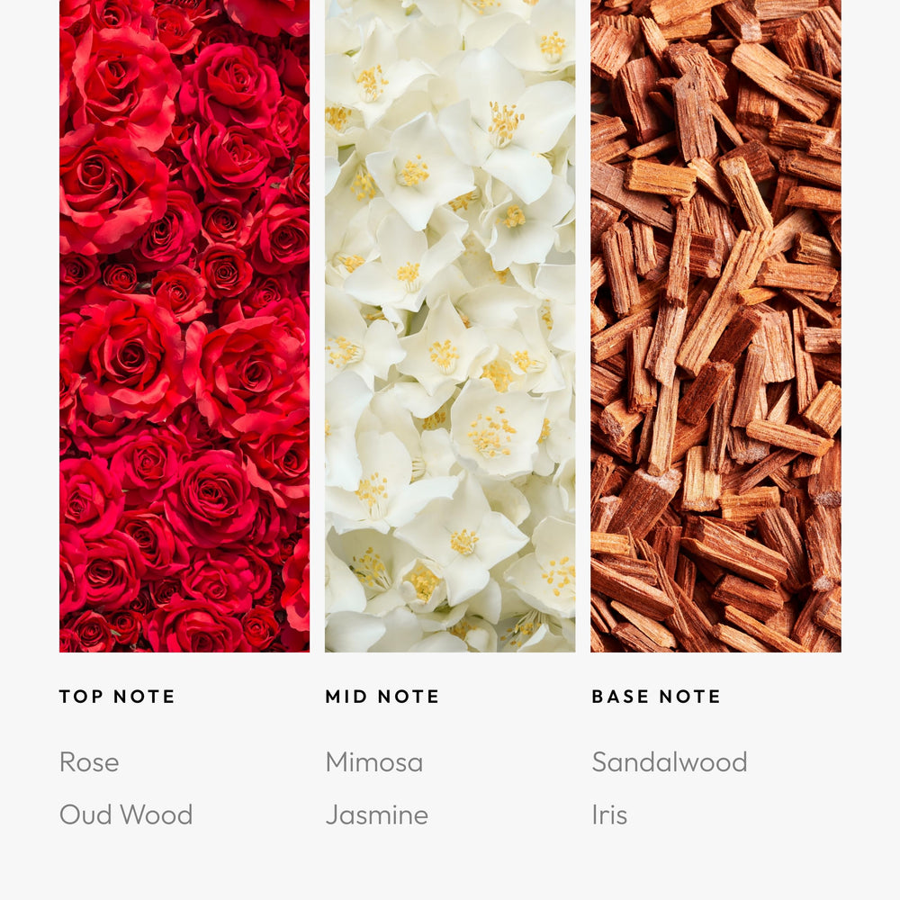 Aroma360 Disney Polka Dot Kisses mimosa-jasmine blend elevates any living space