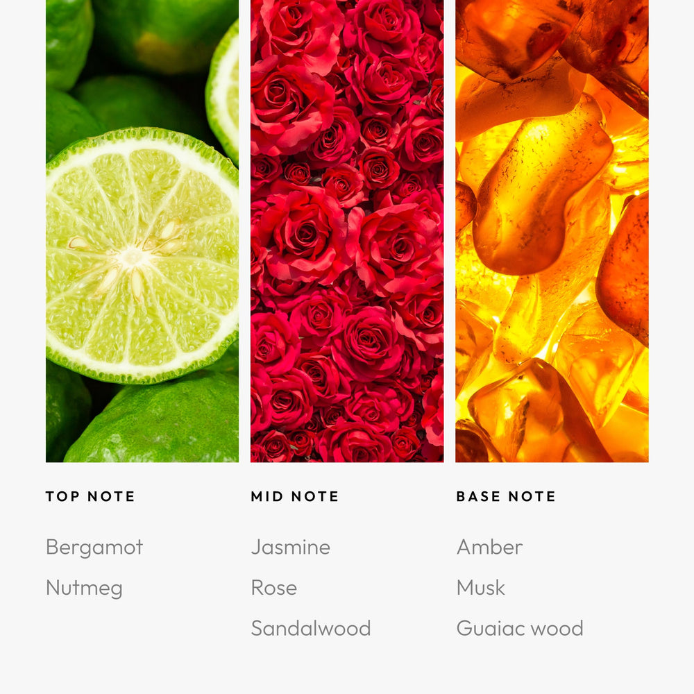 Aroma360 Daisy Duck top-note bergamot adds energizing brightness to rooms.