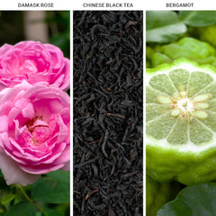 Aroma360 Jedi note profile image with bergamot rose and black tea notes