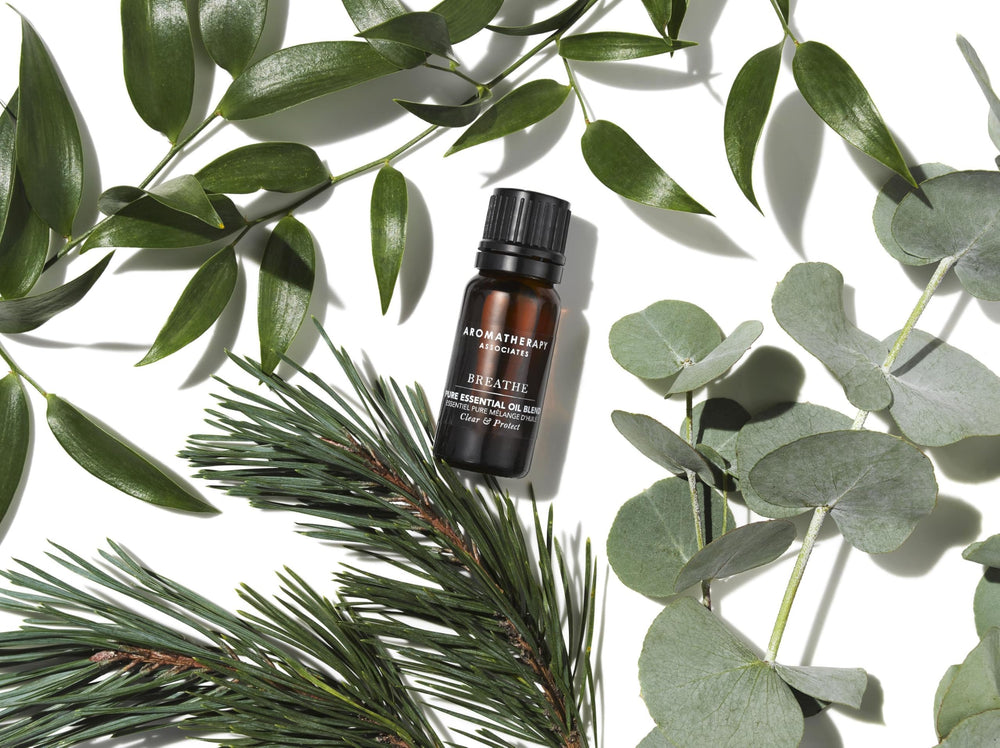 Aromatherapy Associates Breathe Pure pine note evokes outdoor clarity and focus