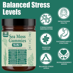 ARSYCHLL Sea Moss Gummies close-up — tropical flavor without fishy aftertaste.