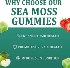 ARSYCHLL Sea Moss Gummies ingredients — bladderwrack and burdock root in the 16-in-1 blend.