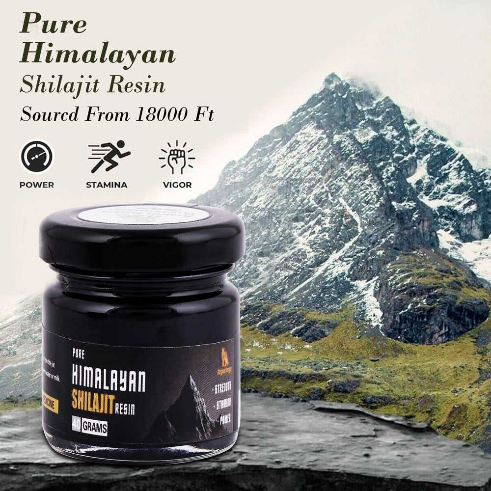 Aryan Surya Shilajit resin glass with milk supports routine vitality.