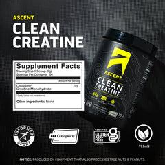 Ascent Clean Creatine powder pouring into a shaker for workouts