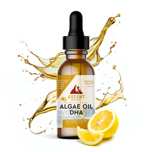 Ascent Nutrition algae oil DHA bottle for vegan omega-3 daily wellness.