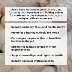 Ascent Nutrition Lion's Mane powder fruiting body visuals suggest nutrient-dense powder