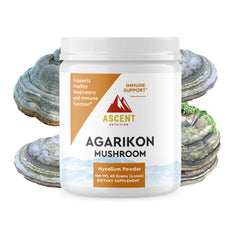 Ascent Nutrition Organic Agarikon Mushroom Powder bottle ready for daily use.