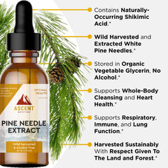 Ascent Nutrition Pine Needle Extract label close-up, highlighting alcohol-free glycerin base for easy use
