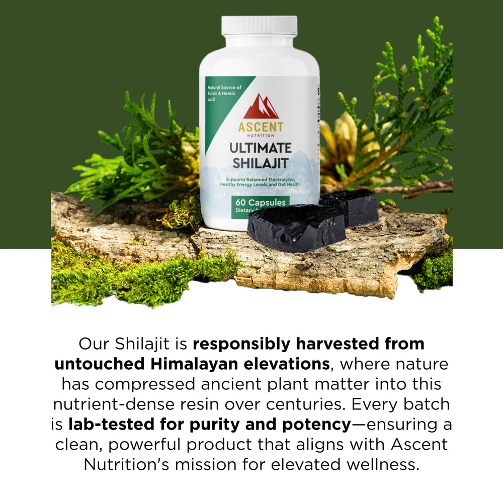 Ascent Nutrition Ultimate Shilajit capsules on shelf suggest a simple daily ritual