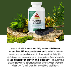 Ascent Nutrition Ultimate Shilajit capsules on shelf suggest a simple daily ritual