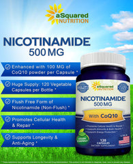 Asquared Nicotinamide CoQ10 powder-detail captures CoQ10 particles enhancing cellular health potential