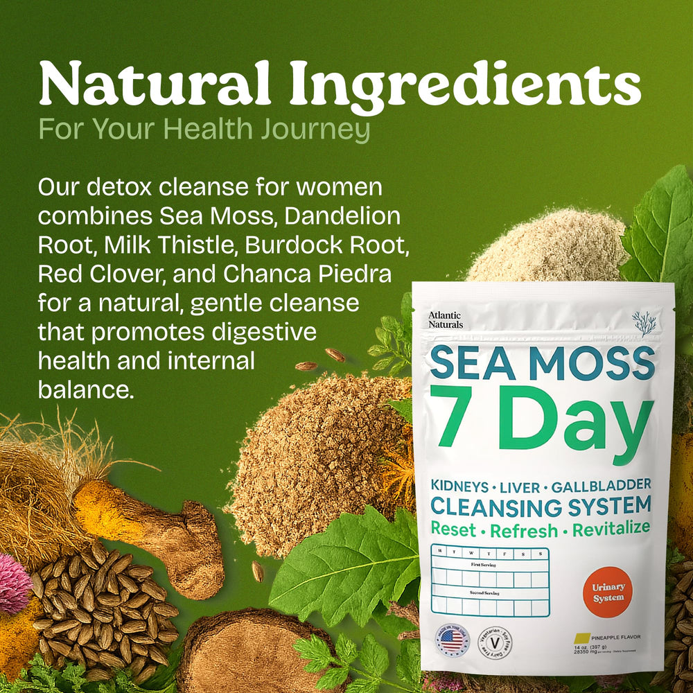 Atlantic Naturals Sea Moss Detox measuring scoop for precise daily servings.