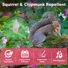 AUDQQM Long-lasting scent coverage provides season-long protection outdoors.