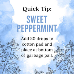 Diffuser releasing Aura Cacia Sweet Peppermint scent into the air