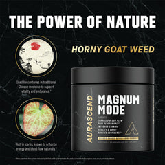 Aurascend Magnum Mode dose scoop ready for daily ritual