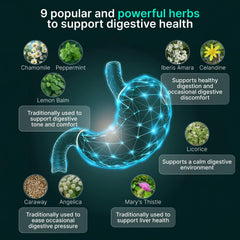 AUTHENTA IBShield label close-up highlights the nine-herb formula.
