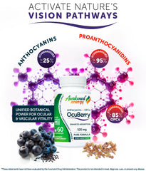 Awakened.energy OcuBerry black currant extract promoting retinal health and comfortable screen time.