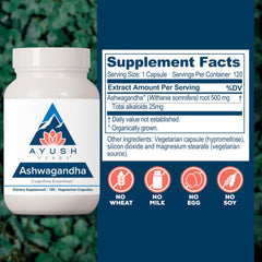 Ayush Herbs Ashwagandha capsules in hand for on-the-go daily wellness