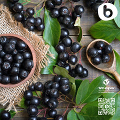 b Organic Aronia Berry Capsules vegan symbol on packaging emphasizing plant-based supplement