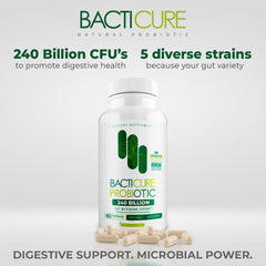 BACTERIUM PLUS Bacticure digestive system graphic shows gut balance