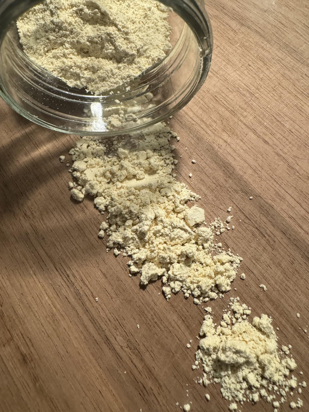 Lions mane slices in a kitchen setup by Baja North Mercantile