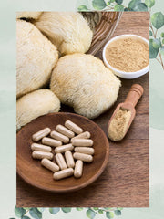 USDA Organic Baja North Mercantile lion's mane slices ready for use