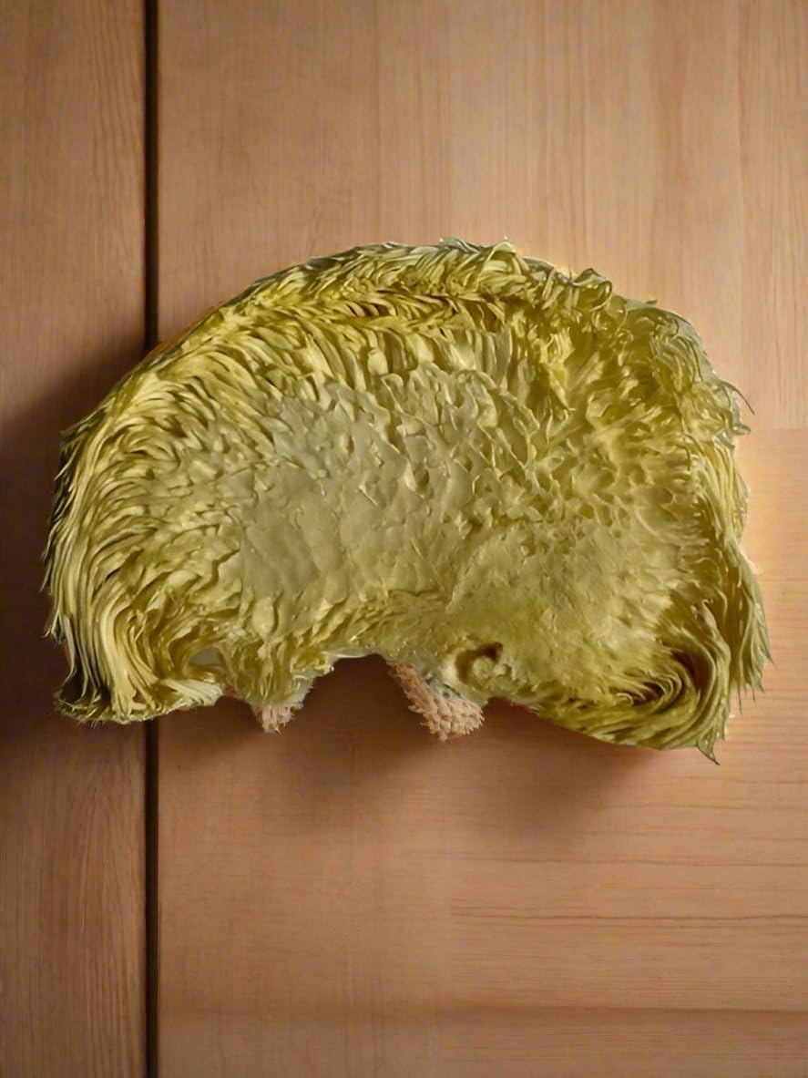 Vacuum-sealed Baja North Mercantile Lion's Mane jar preserves freshness