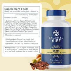 Balanced Vibe Brain Formula with ginkgo biloba imagery for memory support.