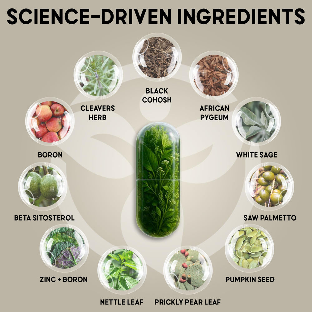 Balanced Vibe Saw Palmetto bottle label closeup highlighting key ingredients