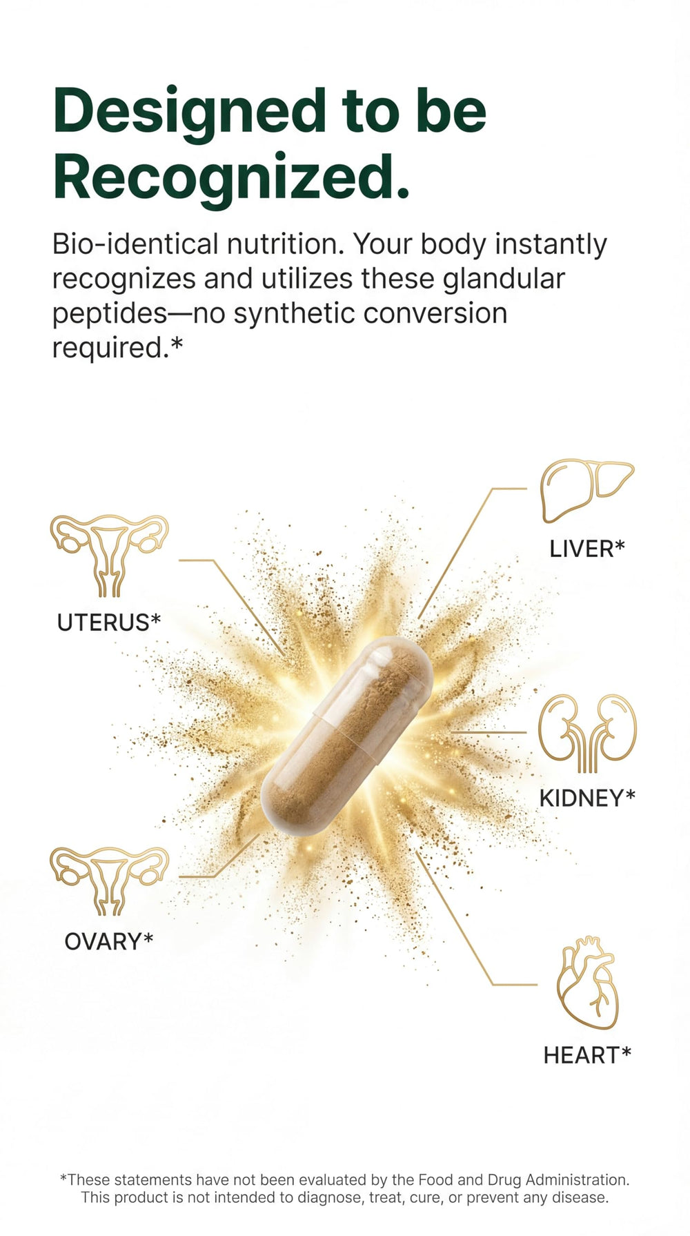 Balans Co kidney image features selenium and DAO for metabolism.