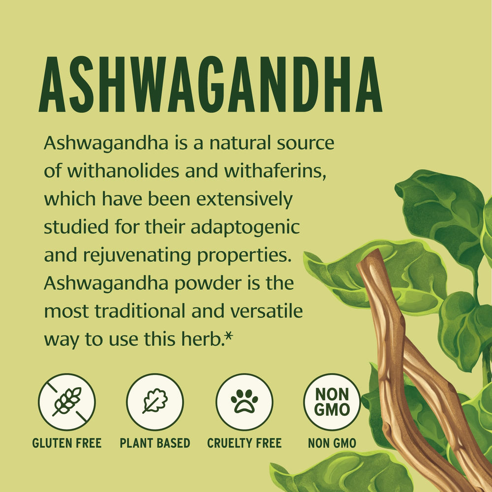 Banyan Botanicals Ashwagandha powder poured into a spoon for daily use.