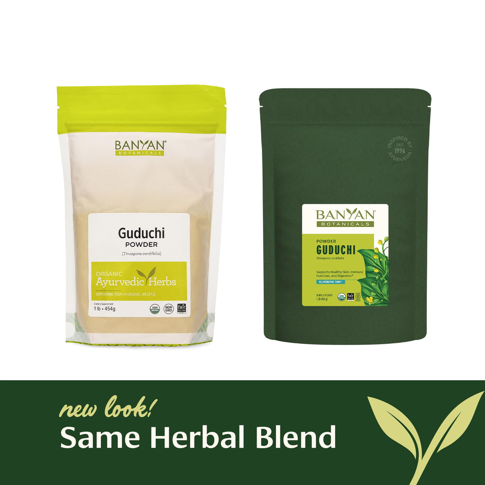 Guduchi powder dissolving in warm water for digestion balance.