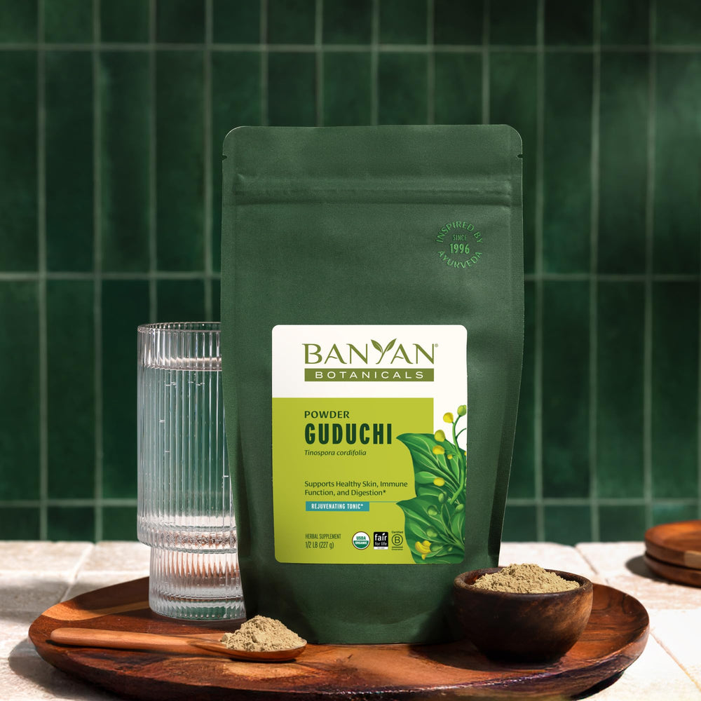 Guduchi stem powder bottle spotlights rich alkaloids and other phytoconstituents.