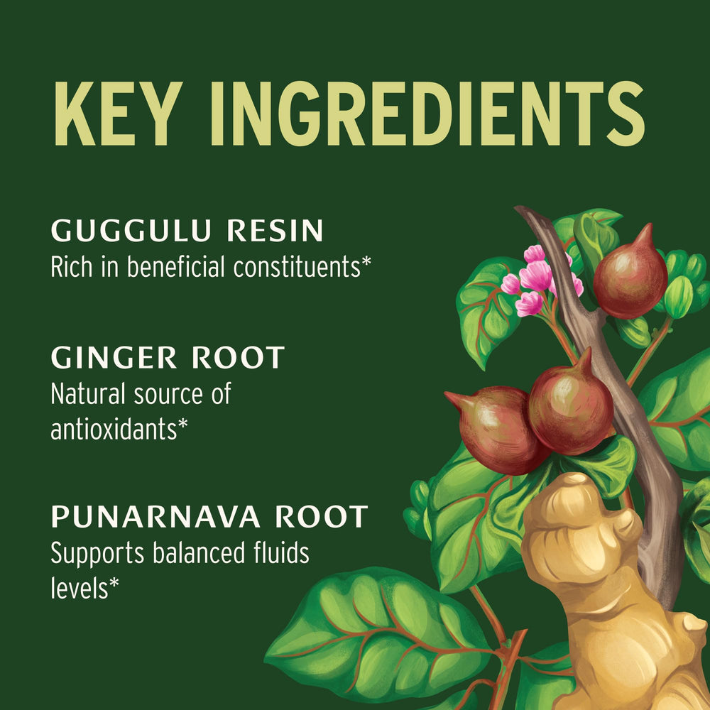 Punarnavadi Guggulu tablets on display with herbs, hinting at urinary balance.