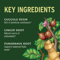 Punarnavadi Guggulu tablets on display with herbs, hinting at urinary balance.