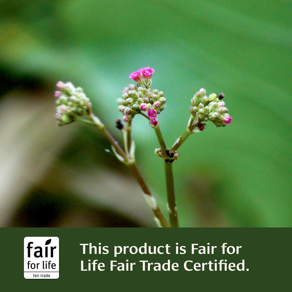 Banyan Botanicals Trim Support with Guggulu and Triphala signaling cleansing benefits.