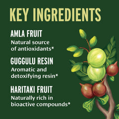 Ingredients overview of Banyan Botanicals Triphala Guggulu with bibhitaki, haritaki, and amla