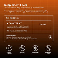 BareLabs Ultra Turmeric travel pack beside passport for portability