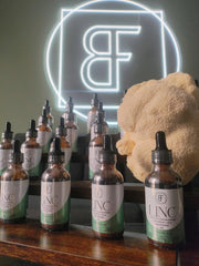 Basidia Farms LINC placed in a calm study setup for focus sessions.