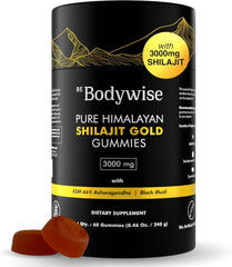 Be Bodywise Pure Himalayan Shilajit Gummies pack for daily energy support.